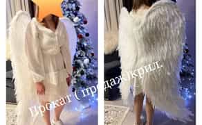 Крила для фотосесії, фотозона хрещення