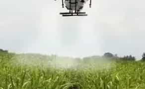 Агродрон для полів: добрива та захист