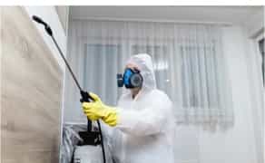 Ефективна травля тарганів у квартирах, будинках та приміщеннях