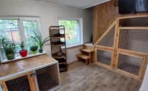 Домашній готель для собак Villa Esenia. Найкраще місце для ваших улюбленців.