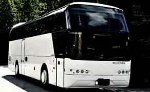 331 Автобус на весілля Neoplan 116 білий