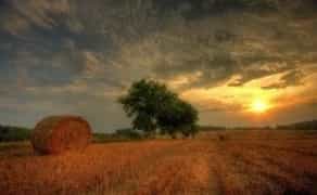 Прес-підбирач для тюкування сіна та соломи (круглі й квадратні тюки)