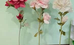 Чудові квіти