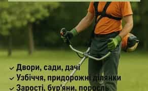 Послуги покосу трави | Тріммер / Бензокоса | Швидко та Якісно