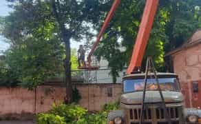 Спил дерев будь якої складності | Розчистка ділянок, вивіз сміття