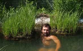 Плаваючий острів з висадженої осокою