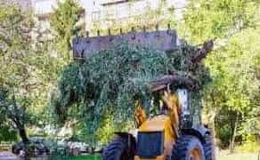 СПЕЦТЕХНІКА, розчищення, корчування дерев,вивіз сміття, грунту ЖИТОМИР!