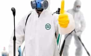 Обробка хімікатами любих приміщень від шкідників