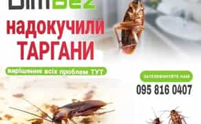 Знищення шкідників, професійна дезінсекція. Комплексний підхід.