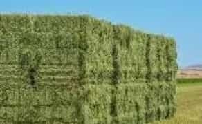 Тюкування люцерни с. Левків, Житомирська обл