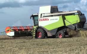 Комбайнайн Lexion. Послуги зі збору врожаю соняшнику, сої, кукурудзи