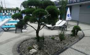 Ландшафтний дизайн Ландшафтный дизайн догляд полив рулонний газон