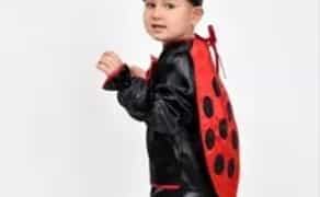 Костюм жук сонечко