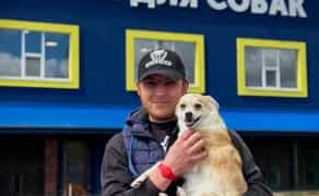 Навчання собаки. Школа собак Дред. Кінолог