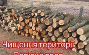 Послуги з порізки дров та професійного розчищення території від сухостою та гілок