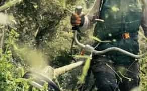 Покос трави, чагарників, зрізання дерев. Розчищення ділянки.