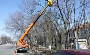 Спил складних дерев з автовишкою