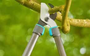 Сучкоріз - інструмент для вашого саду.