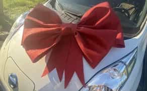 Величезний бант на авто