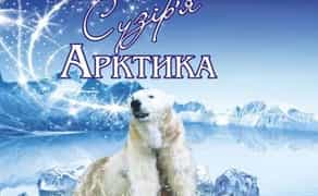 Доставка питної води очищеної АРКТИКА 80 грн