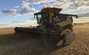 Комбайн CATERPILLAR lexion 590 (1928)