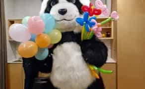 Костюма Великої Панди: Новий Рівень Розваг та Вражень!