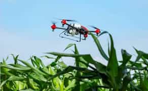 Внесення ЗЗР безпілотними літальними апаратами