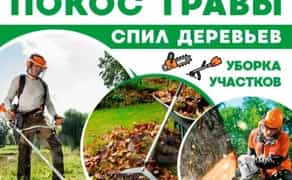 Спил дерева прибирання ділянки, вивіз сміття