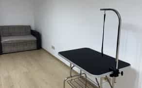 Місце грумера кабінету погодинно, груминг