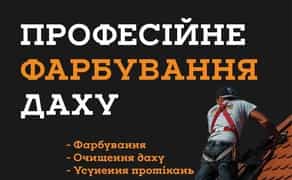 Фарбування дахів Ужгород, Ужгородський район, Закарпаття. Миття дахів.