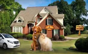 Перетримка домашніх тварин (ЗООГОТЕЛЬ) та послуги ГРУМІНГУ