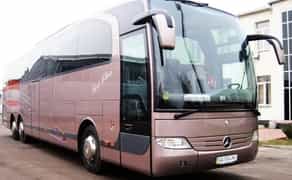 376 Автобус на весілля Mercedes на 50 місць