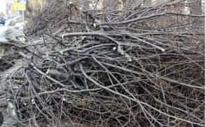 Надаємо послуги подрібнення гілля та дерев у щепу швидко та акуратно