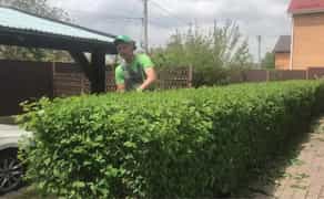 Садівник Озеленення Обрізка дерев, топіарій, догляд за газоном