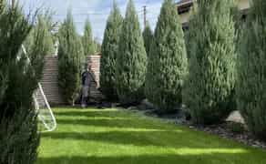 Садівник Ландшафт та озеленення Газон Обробка Посадка