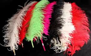 Пір'я страуса декор