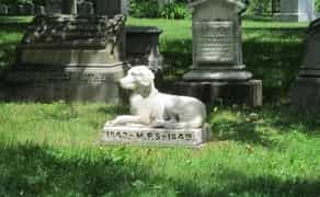 Кремація та поховання тварин