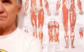 Лечение мышц и суставов без операции Харьков 700 грн.