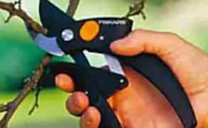 Догляд за садом