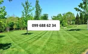 Рулонний газон, автополив, проект, монтаж, ландшафтний дизайн, садівник.