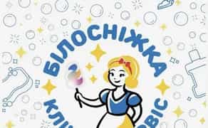 Хімчистка меблів на виїзд «Білосніжка» | Київська область
