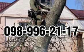 Зрізання дерев.Спил деревьев.Подрібнення гілля.Порізка на дров..