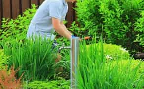 Обрізка плодових, стрижка рослин, обробка, ландшафтні послуги