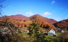 Будинок в Карпатах