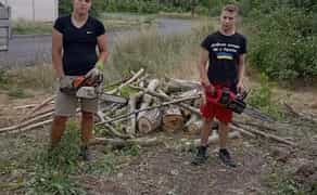 Спил дерев карчовка пнів прибирання території вивіз гілок сміття.