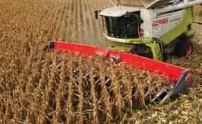 Збирання врожаю соняшнику, сої, кукурудзи комбайном в Житомирі