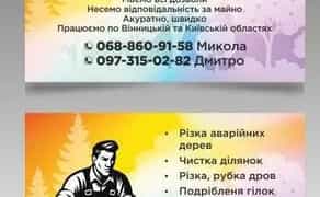 Аварійні дерева — швидке видалення