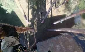 Професійний спил дерев. Кронування. Правильна обрізка дерев.