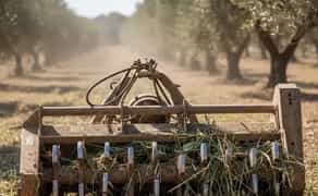 Мульчер для подрібнення рослинності