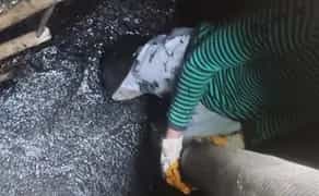 Чищення вигрібної ями Чищення зливної ями Ілосос Чистка септика Мулосос